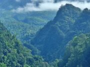 Pemandangan bukit dan jurang di Nawang Jagad