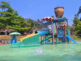 Kolam renang dan permainan anak di SPARKS FOREST ADVENTURE