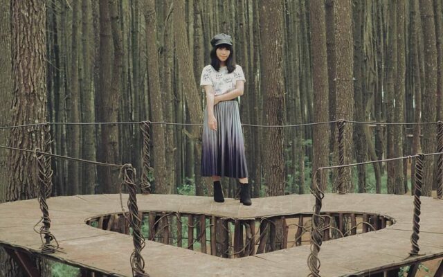 HUTAN PINUS MANGUNAN: Tiket Masuk, Aktivitas & Fasilitas