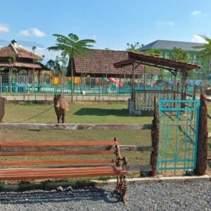 Peternakan kuda di Sui Farm Malang