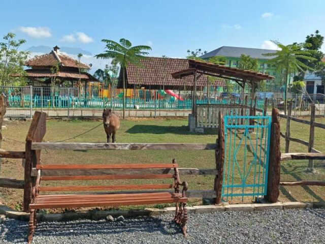 Peternakan kuda di Sui Farm Malang