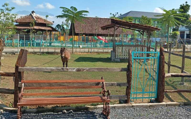 Peternakan kuda di Sui Farm Malang