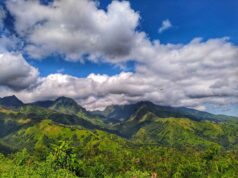 Pemandangan dari puncak Mt Lorokan - Foto: Google Maps/Iyan Yukoto