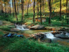 Suasana bumi perkemahan Kedung Klurak - Foto: Instagram/visiteastjava