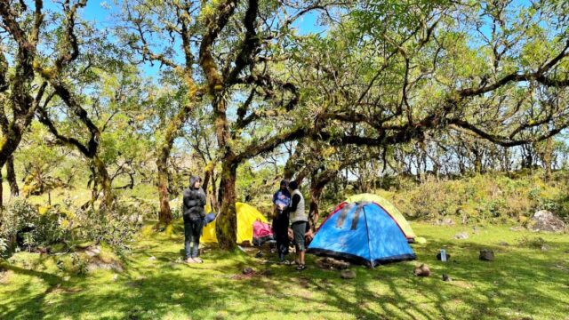 Berkemah di sejuknya alam Lembah Lohe