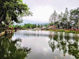 Suasana Telaga Bedakah Wonosobo - Foto: Google Maps/Mely Agustine