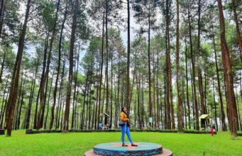 Suasana hutan pinus di Prabanlintang Danasari