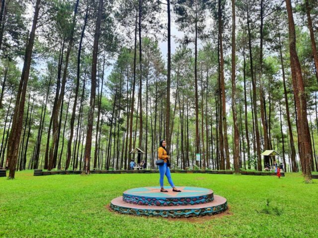 Suasana hutan pinus di Prabanlintang Danasari