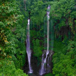 Keindahan Sekumpul Waterfall Buleleng Bali