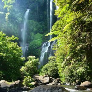 Sekumpul Waterfall Tour Bali