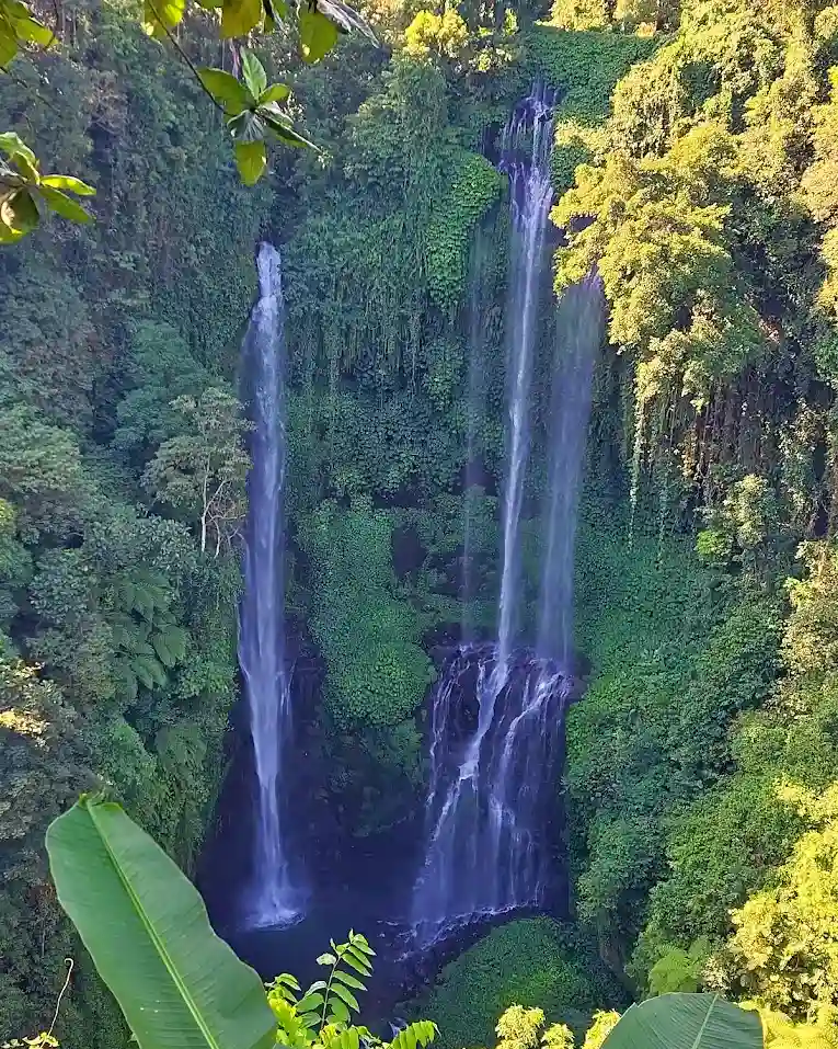 Ketinggian Sekumpul Waterfall mencapai 80 meter dengan bayak aliran