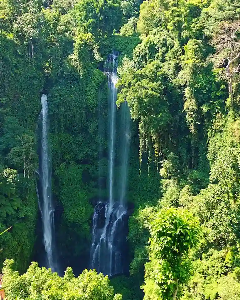 Keindahan Sekumpul Waterfall di tengah belantara hutan tropis Bali Utara